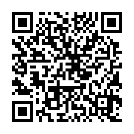 QR code for PIU334