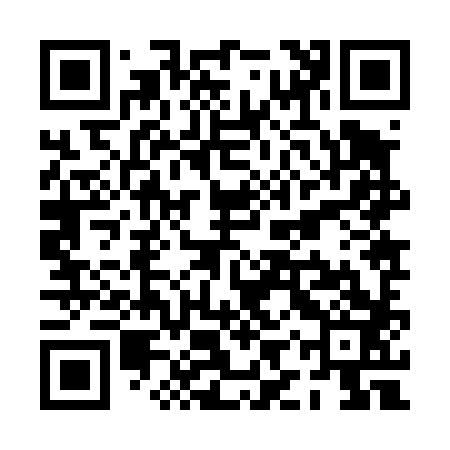 QR code for PIZ483