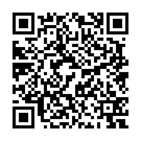 QR code for PJP4334