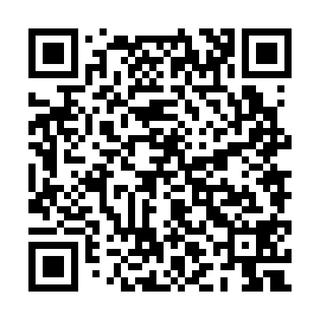 QR code for PLN318