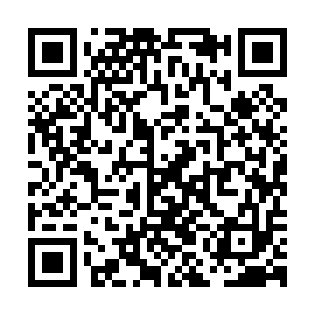 QR code for PMI013