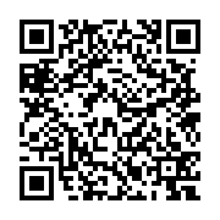 QR code for PMS5333