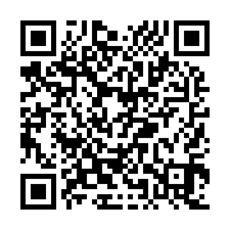 QR code for PMZ911
