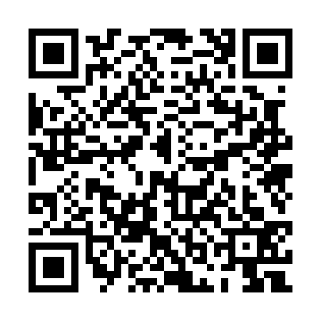 QR code for POO0334