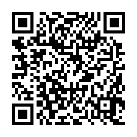 QR code for PPA386