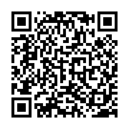 QR code for PPG091