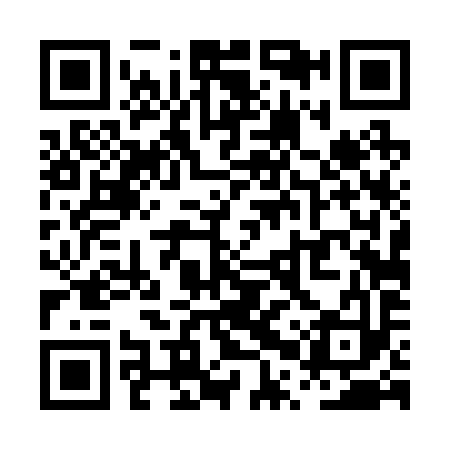 QR code for PPT293