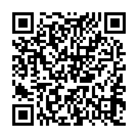 QR code for PPT959
