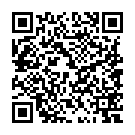 QR code for PPT9594