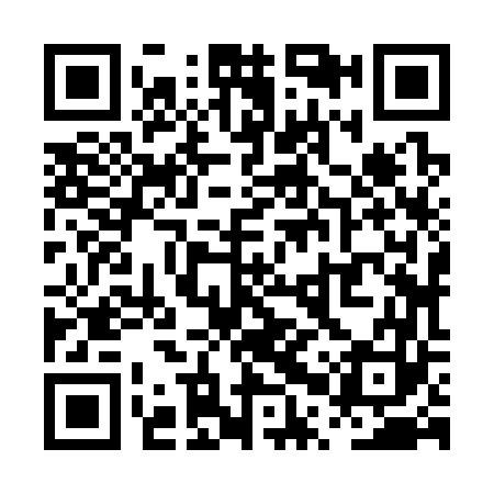 QR code for PPZ363