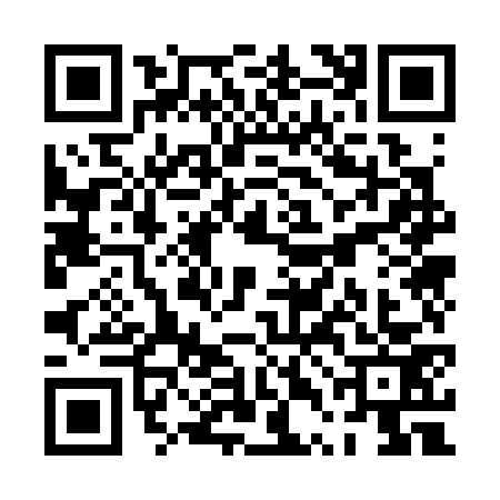 QR code for PTO3739