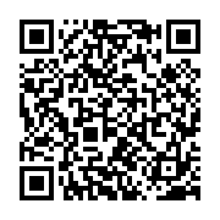 QR code for PUN033