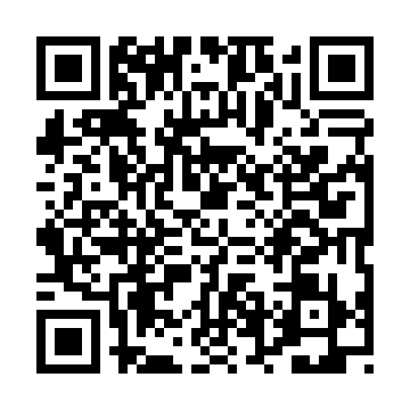 QR code for PVI0391