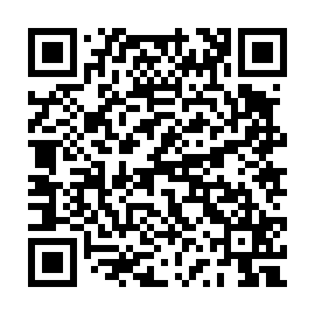 QR code for PVZ425