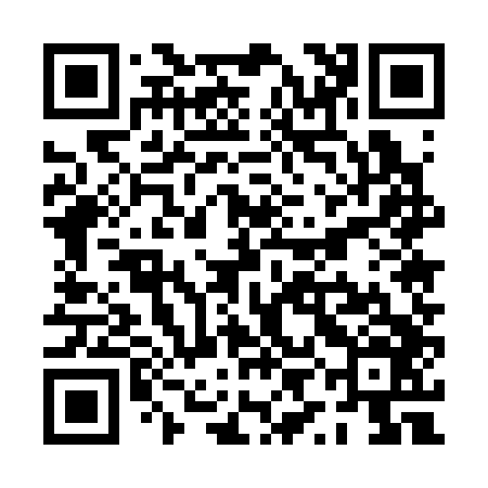 QR code for PYE346