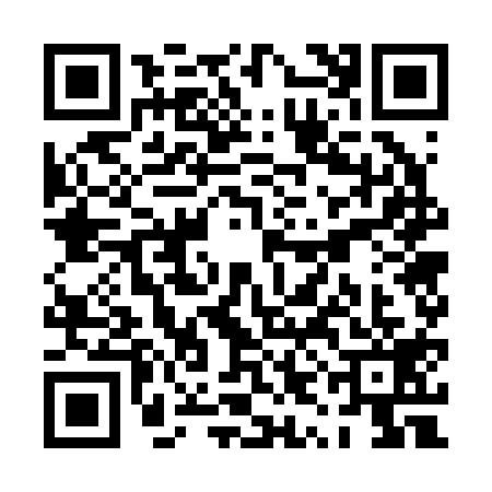 QR code for PYG2196