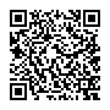 QR code for PYG5334
