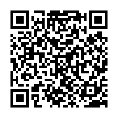 QR code for PYN611