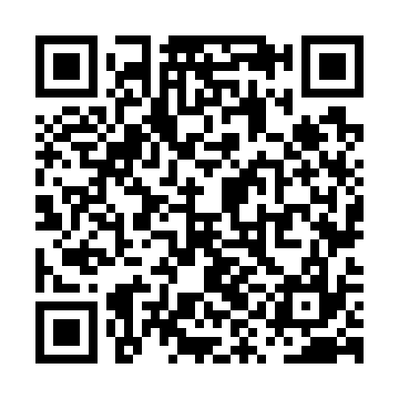 QR code for PYN737