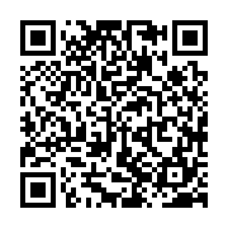 QR code for PZH374