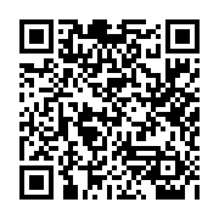 QR code for PZI691