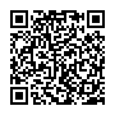 QR code for PZJ271