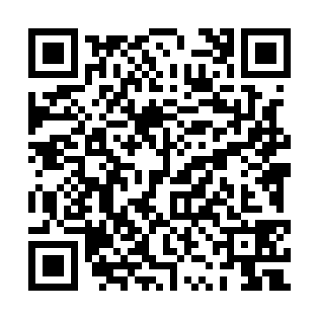 QR code for PZL1385