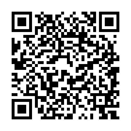 QR code for PZT2924