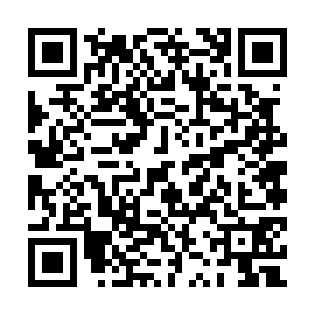 QR code for PZV0709