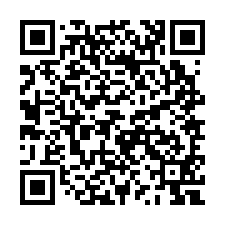 QR code for PZZ391