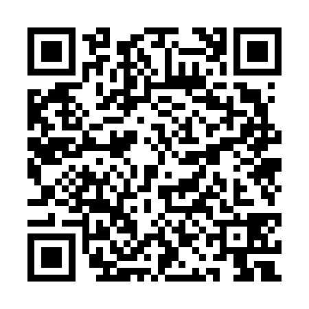 QR code for QAO6383