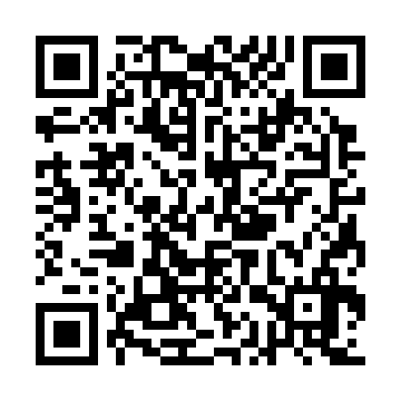 QR code for QAS336