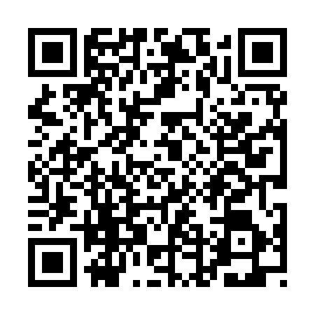 QR code for QDL9561