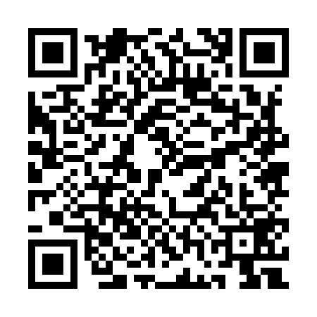 QR code for QGJ9593