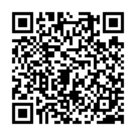 QR code for QIU6838