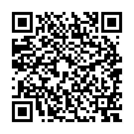 QR code for QJJ2919