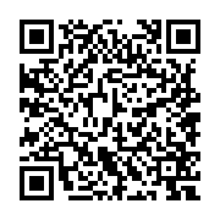 QR code for QLN9666