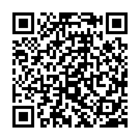 QR code for QLX378
