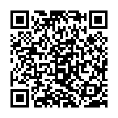 QR code for QLZ029