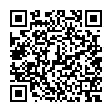QR code for QOR0541
