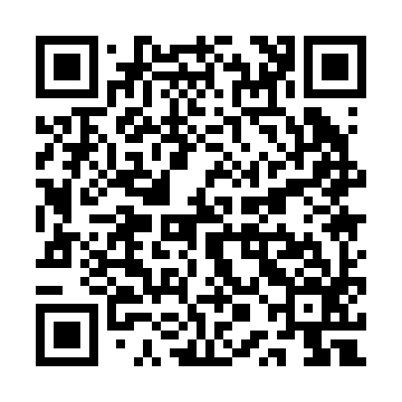 QR code for QPA296