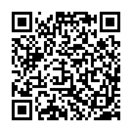 QR code for QPX393