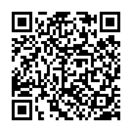 QR code for QSO658