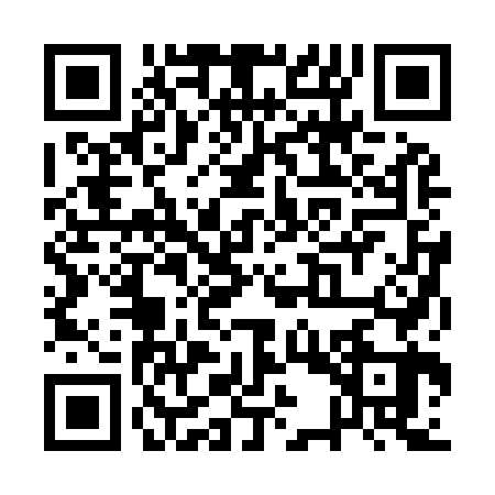 QR code for QSR9638