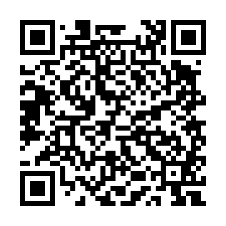 QR code for QUR481