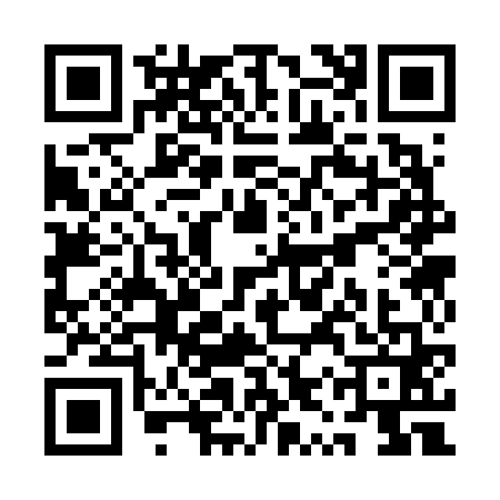 QR code for QYS6619