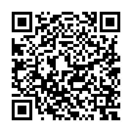 QR code for QYS9431