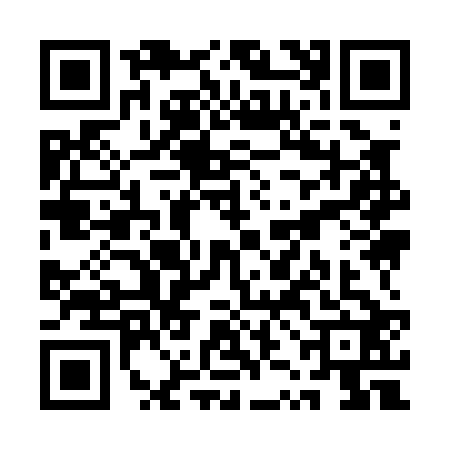 QR code for QZI0228