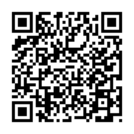 QR code for QZL9489