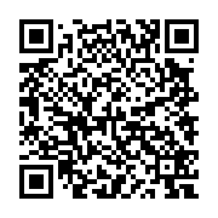 QR code for QZN029